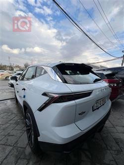 جيتور داشينج